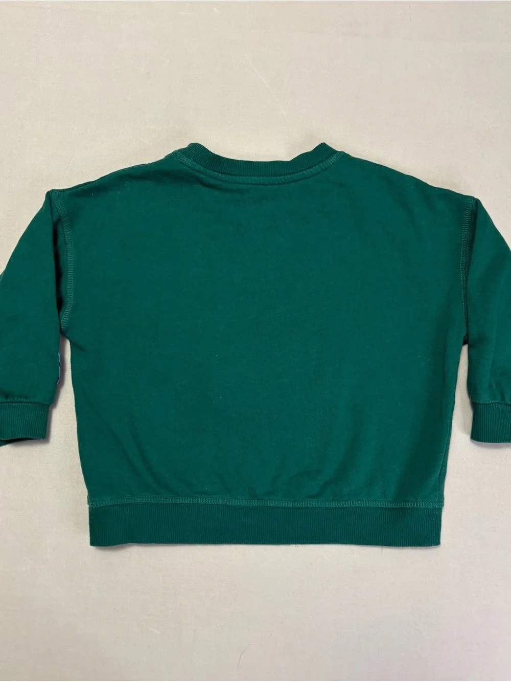 Bluey Green Kids Crewneck Sweatshirt with Holiday Sweater Graphic Size 3T